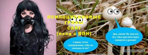трава Арсеньев