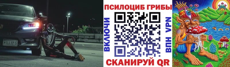 Галлюциногенные грибы ЛСД  Магадан 